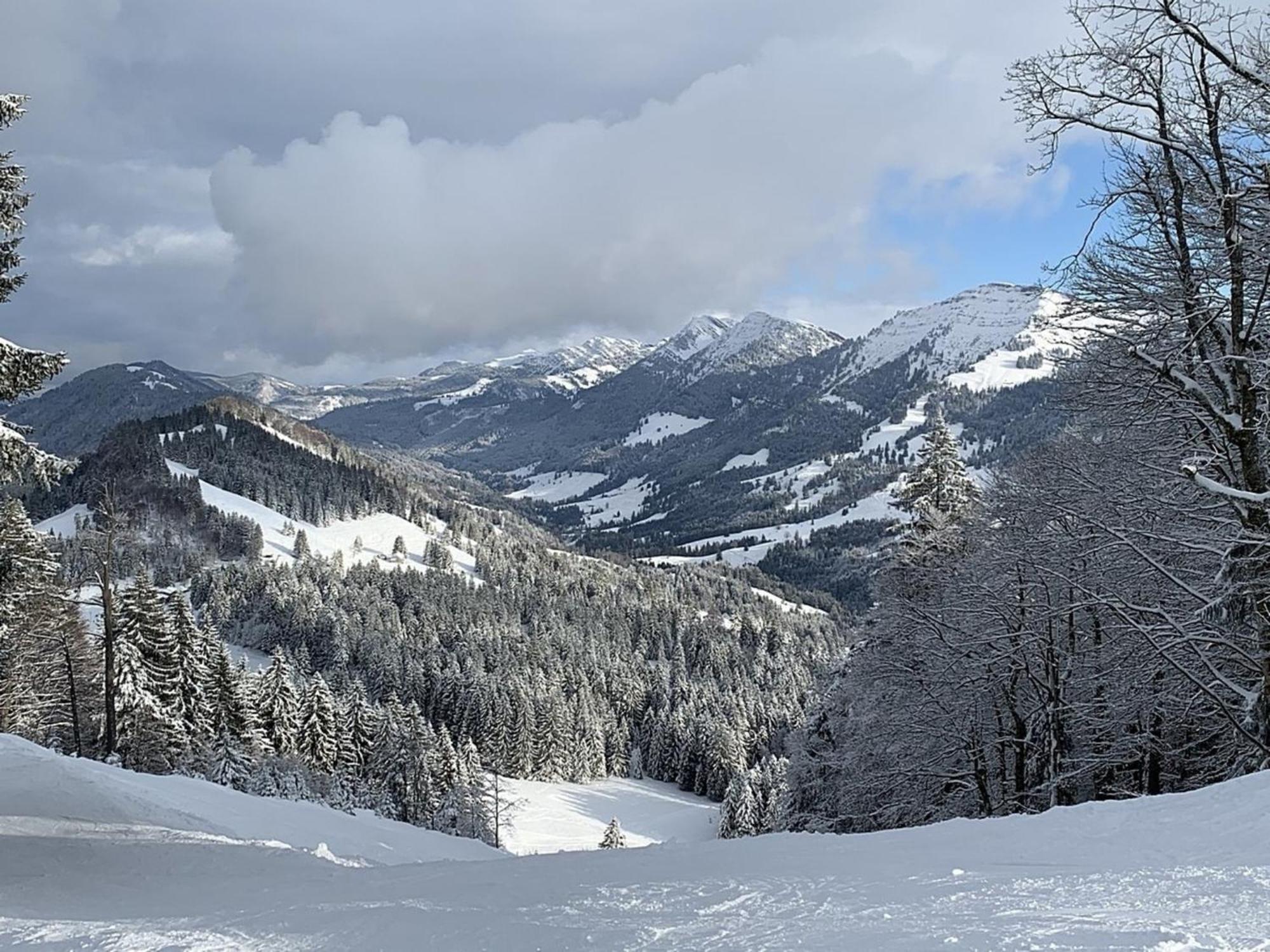 Appartement Nr 19, Alpenappartementhaus, Oberstaufen-Steibis, Allgaeu, Oberstaufen Plus Ngoại thất bức ảnh